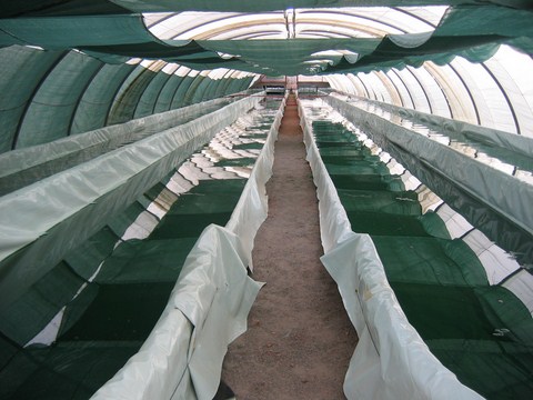 Deux bassins, surface totale 500 m2